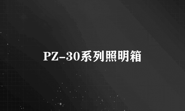 PZ-30系列照明箱