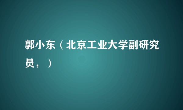 郭小东（北京工业大学副研究员，）