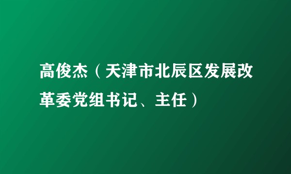 高俊杰(天津市北辰区发展改革委党组书记、主任)