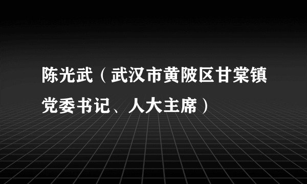 陈光武（武汉市黄陂区甘棠镇党委书记、人大主席）