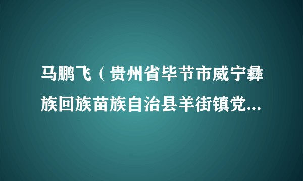 马鹏飞(贵州省毕节市威宁彝族回族苗族自治县羊街镇党委委员、纪委书记)