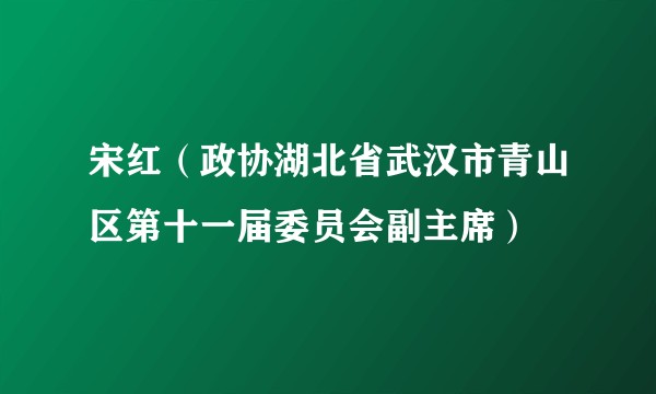 宋红（政协湖北省武汉市青山区第十一届委员会副主席）