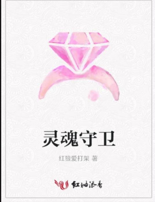灵魂守卫(红狼爱打架所著小说)