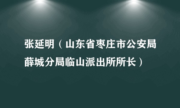 张延明（山东省枣庄市公安局薛城分局临山派出所所长）