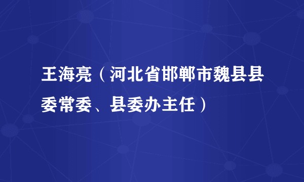 王海亮（河北省邯郸市魏县县委常委、县委办主任）