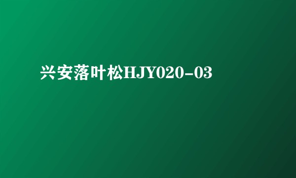 兴安落叶松HJY020-03