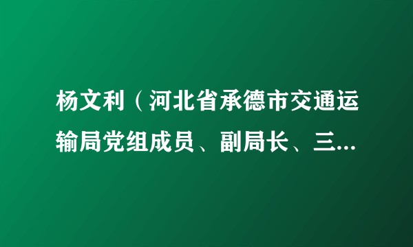 杨文利(河北省承德市交通运输局党组成员、副局长、三级调研员)
