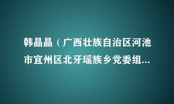 韩晶晶（广西壮族自治区河池市宜州区北牙瑶族乡党委组织委员）