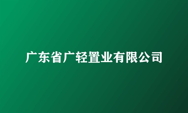 广东省广轻置业有限公司
