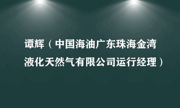 谭辉（中国海油广东珠海金湾液化天然气有限公司运行经理）
