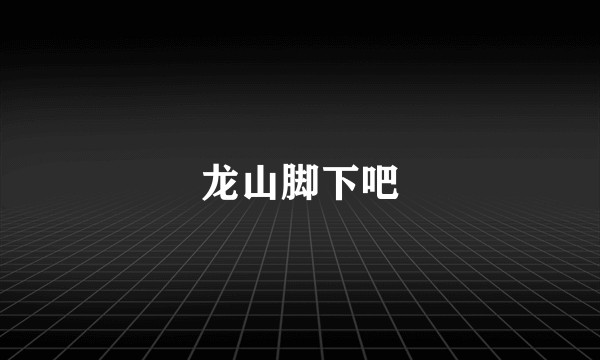 龙山脚下吧