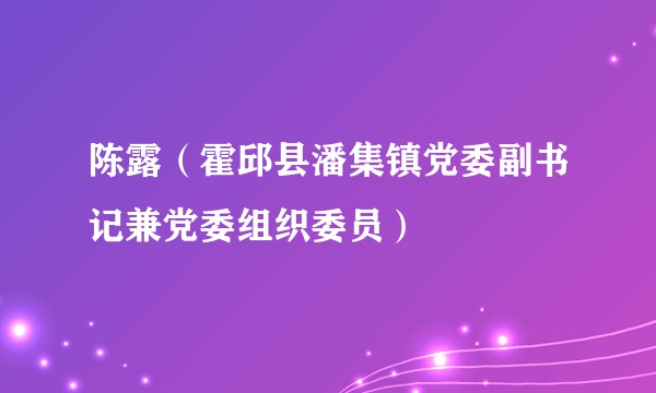 陈露（霍邱县潘集镇党委副书记兼党委组织委员）