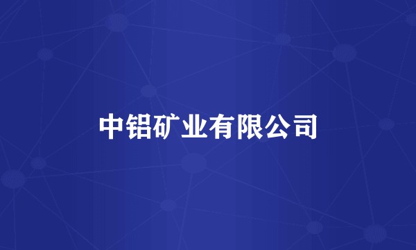 中铝矿业有限公司