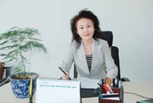 陈平（武汉工业学院教授）