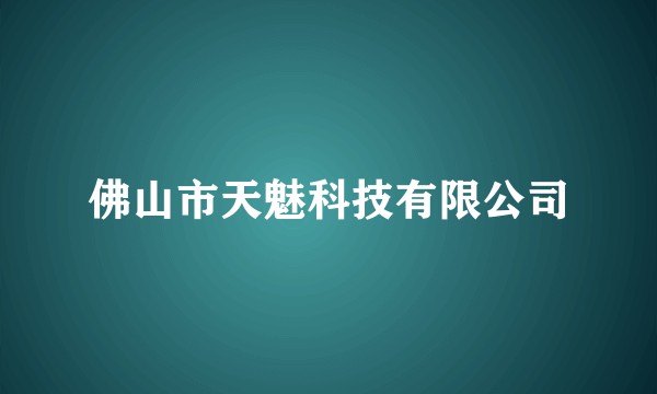 佛山市天魅科技有限公司