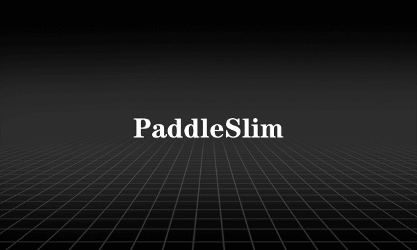 PaddleSlim