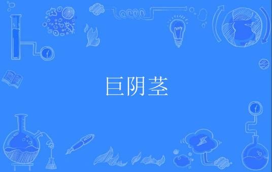 巨阴茎
