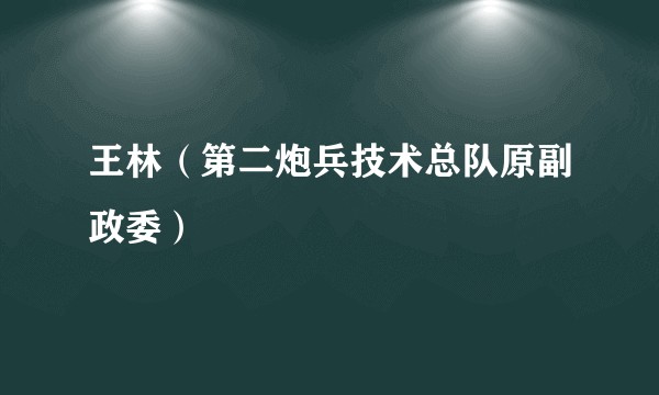 王林(第二炮兵技术总队原副政委)