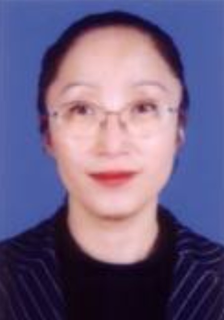 王丽（吉林大学教授）