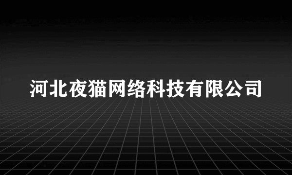 河北夜猫网络科技有限公司
