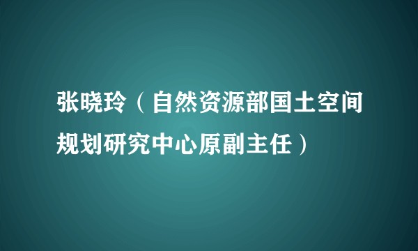 张晓玲（自然资源部国土空间规划研究中心原副主任）