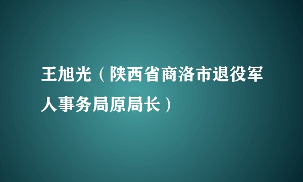 王旭光（陕西省商洛市退役军人事务局原局长）