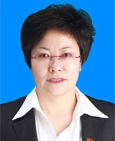 袁文(青海省西宁市城西区委副书记、区人民政府党组书记、区长、一级调研员)