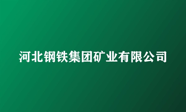 河北钢铁集团矿业有限公司