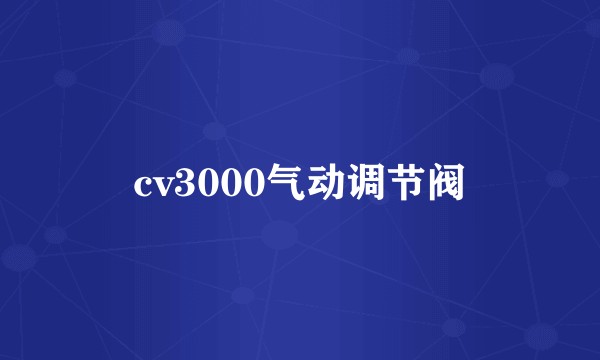 cv3000气动调节阀
