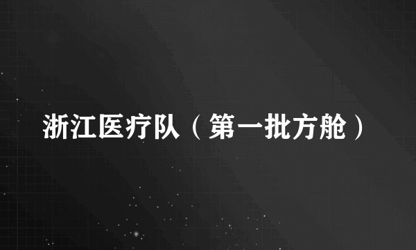 浙江医疗队（第一批方舱）