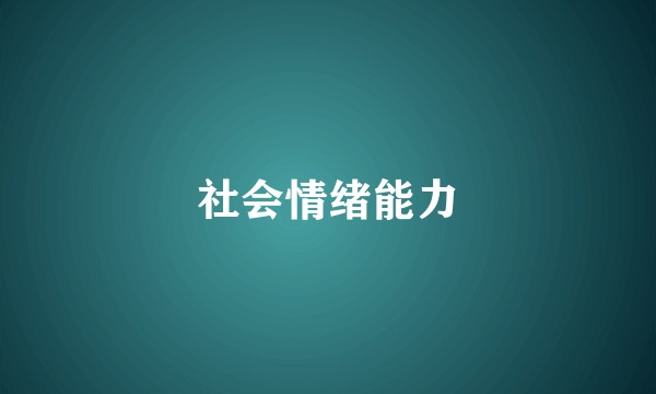 社会情绪能力