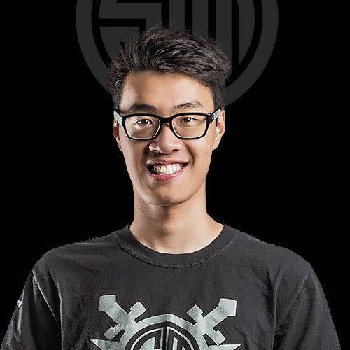 WildTurtle