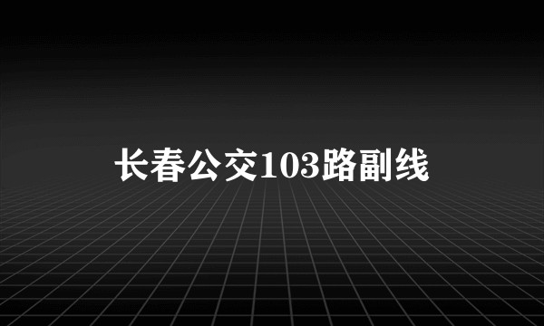 长春公交103路副线
