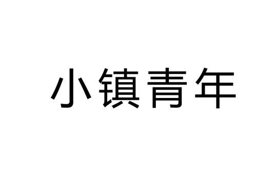小镇青年(一类人群的总称)