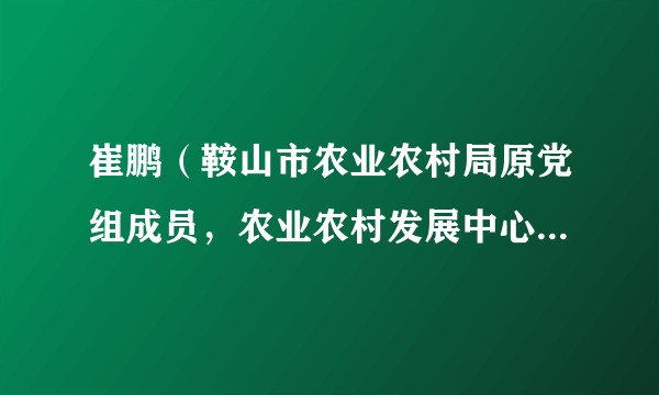 崔鹏(鞍山市农业农村局原党组成员,农业农村发展中心原党委书记、主任)