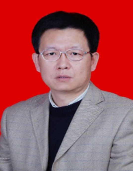 刘瑞(新疆大学副教授)
