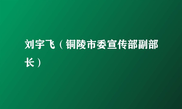 刘宇飞（铜陵市委宣传部副部长）