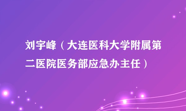 刘宇峰（大连医科大学附属第二医院医务部应急办主任）