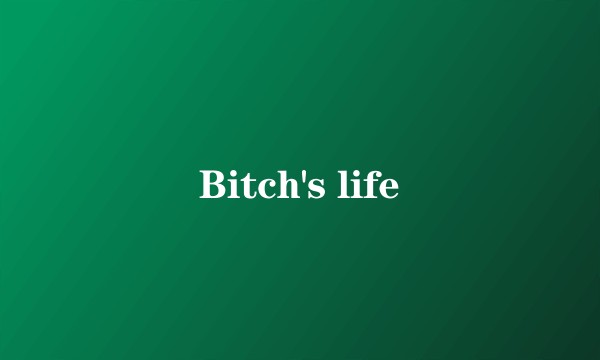Bitch's life