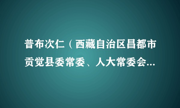 普布次仁（西藏自治区昌都市贡觉县委常委、人大常委会党组书记、主任、一级调研员）