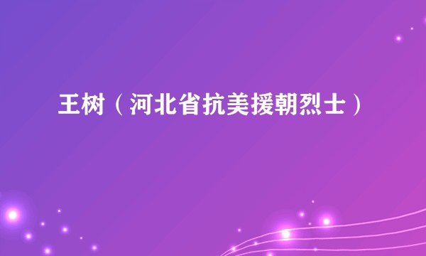 王树（河北省抗美援朝烈士）