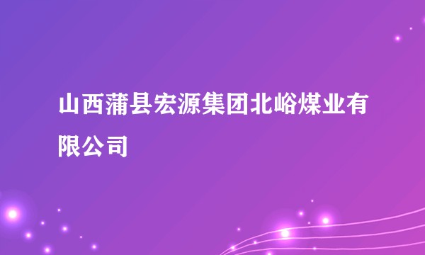 山西蒲县宏源集团北峪煤业有限公司