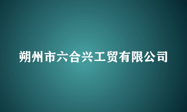 朔州市六合兴工贸有限公司