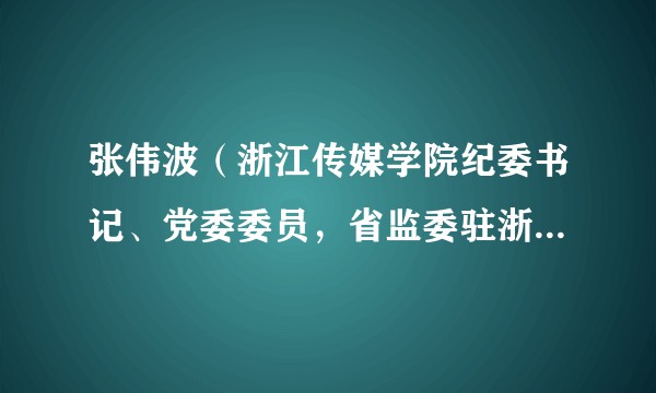 张伟波（浙江传媒学院纪委书记、党委委员，省监委驻浙江传媒学院监察专员）
