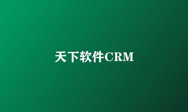 天下软件CRM