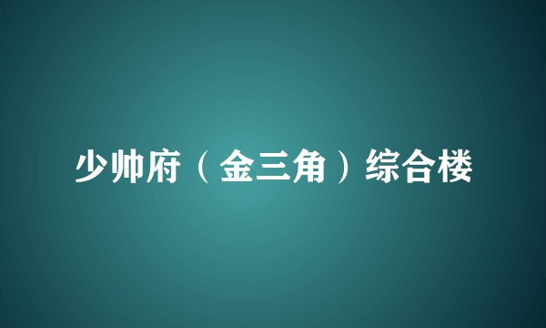 少帅府(金三角)综合楼