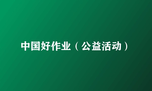 中国好作业（公益活动）