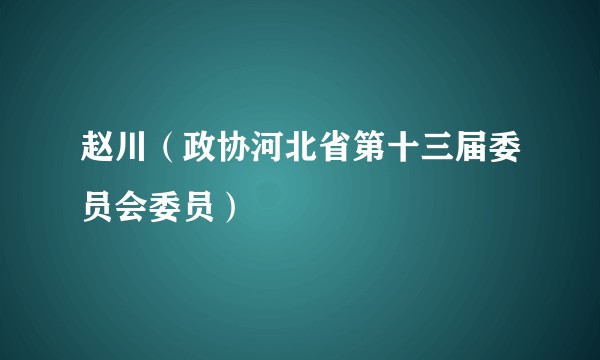 赵川（政协河北省第十三届委员会委员）
