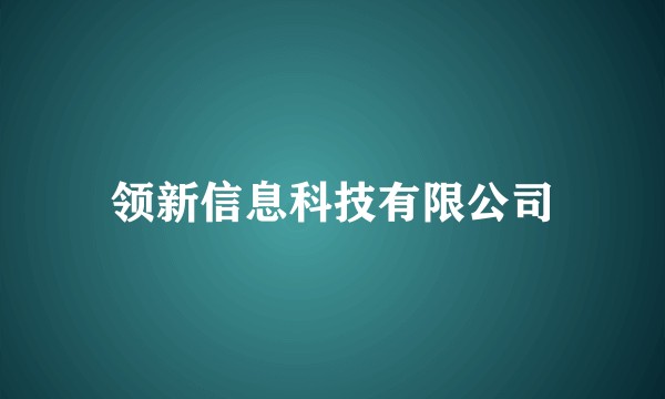 领新信息科技有限公司