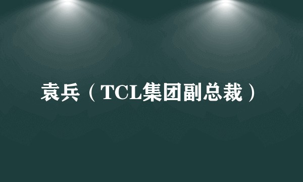 袁兵(TCL集团副总裁)